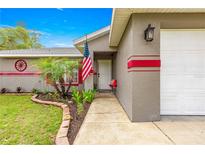 Welcoming front entrance with manicured landscaping and an American flag at 16220 Sw 19Th Avenue Rd, Ocala, FL 34473