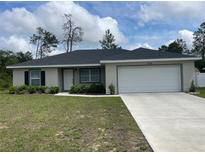 Charming single-story home features a well-manicured lawn and a two-car garage at 3338 Sw 165Th Loop, Ocala, FL 34473
