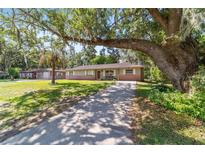 Charming single-story home with brick accents, a long driveway, and mature trees shading the front yard at 6060 Se 119Th Pl, Belleview, FL 34420