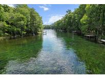 Scenic river view featuring crystal-clear water and lush green vegetation at 11170 Sw 190Th Ave, Dunnellon, FL 34432