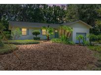 Charming single-story home with a well-manicured lawn and lush landscaping at 4701 Nw 60Th Terrace, Ocala, FL 34482