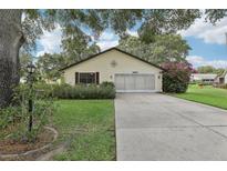 Charming single-story home with a well-maintained lawn and beautiful landscaping at 2008 Tweed Ct, Leesburg, FL 34788