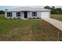 Charming single-story home with a well-manicured lawn and a paved driveway at 2825 Sw 147Th Ct, Ocala, FL 34481