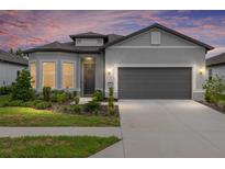Charming single-story home with a well-manicured front yard and a two-car garage at 8809 Sw 61St Loop, Ocala, FL 34481