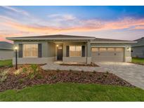 Charming single-story home featuring a two-car garage, tidy lawn, and neutral exterior paint at 10625 Sw 98Th Pl, Ocala, FL 34481