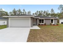 Charming single-story home with a well-manicured lawn and a two-car garage at 13568 Sw 109 Ln, Dunnellon, FL 34432