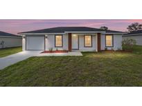 Charming single-story home with a well-manicured lawn and inviting front entrance at 15424 Sw 27 Ln, Ocala, FL 34481