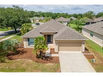 Charming single-story home with well-maintained landscaping and inviting curb appeal featuring a two-car garage at 6984 Sw 94Th Ct, Ocala, FL 34481