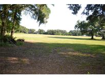 A vast, grassy field with mature trees on the horizon offers ample space and natural beauty at 1050 E Highway 329, Citra, FL 32113