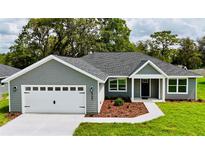 Charming single-story home with a well-manicured lawn, attached two-car garage, and beautiful landscaping at 8289 Se 159Th Ln, Summerfield, FL 34491