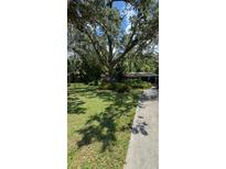 Spacious front yard featuring a large tree providing shade and an inviting driveway at 2927 Se 13Th St, Ocala, FL 34471