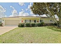 Charming single-story home with well-maintained lawn, mature tree, and inviting curb appeal at 9486 Se 173Rd Pl, Summerfield, FL 34491