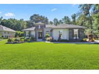 Beautifully landscaped front yard and modern exterior elevation on a single-story home at 3993 Se 10Th Ave, Ocala, FL 34480