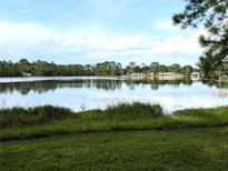 Beautiful lake view surrounded by lush greenery and trees under a partly cloudy sky at 2131 Ne 145Th Avenue Rd, Silver Springs, FL 34488