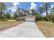 New construction featuring a concrete driveway leading to a two-car garage in a wooded setting at 732 Sw Fig Tree Ln, Dunnellon, FL 34431