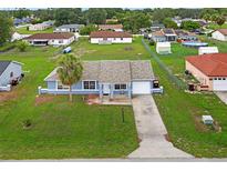 Charming single-story home featuring a well-manicured lawn, attached garage, and welcoming light blue painted facade at 316 Oak Track Dr, Ocala, FL 34472