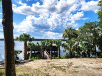 Beautiful lake view featuring a private dock with palm trees and lush greenery at 17051 Ne 243Rd Place Rd, Fort Mc Coy, FL 32134