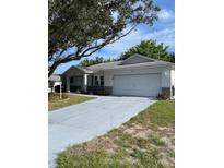 Cozy single-story home featuring an attached two-car garage and a well-manicured front yard at 9711 Sw 97Th Pl, Ocala, FL 34481