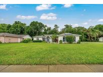 Charming single-story home featuring a large front yard, mature landscaping, and a welcoming front entrance at 3769 Grove View Ln, Port Orange, FL 32129