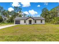 Charming single-story home with a well-maintained lawn and a neutral color palette at 14876 Se 34Th Ter, Summerfield, FL 34491