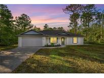Charming single-story home with a well-manicured lawn, neutral paint, and inviting curb appeal at 158 Guava Pass, Ocklawaha, FL 32179
