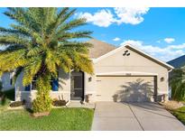 Charming single-Gathering home features a well-maintained lawn and mature palm tree, perfect curb appeal at 3828 Eloise Estates Ct, Winter Haven, FL 33881