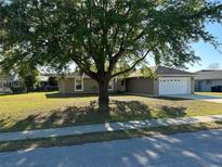 Charming single-story home with a well-maintained lawn and mature tree shading the front yard at 379 Renssalaer Ave, Auburndale, FL 33823