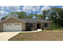 Charming single-story home featuring a two-car garage, well-maintained lawn, and delightful landscaping at 214 Brook Ln, Polk City, FL 33868