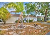 Charming single-story home featuring a well-maintained lawn and inviting curb appeal with palm tree at 4229 Nandina St, Lake Wales, FL 33898