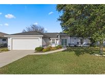 Charming single-story home with a well-maintained lawn, mature tree, and two-car garage at 6560 Horizon Point Dr, Lakeland, FL 33813