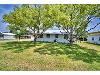 Charming single-story home with a metal roof and two mature trees in the front yard at 117 Bream St, Haines City, FL 33844