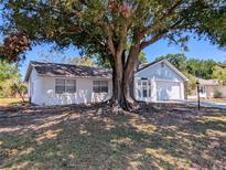 Charming single-story home featuring a painted brick facade and a large tree in the front yard at 32 Cedar Dr, Davenport, FL 33837