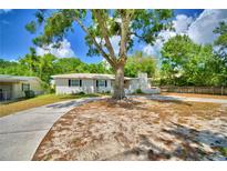 Charming single-story home with a large shade tree and inviting curb appeal at 1919 19Th Nw St, Winter Haven, FL 33881