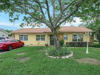 Charming single-story home featuring a well-maintained lawn, a stone accent wall, and mature landscaping at 808 Ware Ne Ave, Winter Haven, FL 33881