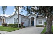 Charming single-story home with well-manicured lawn, two-car garage, and front yard trees at 135 Minniehaha Cir, Haines City, FL 33844