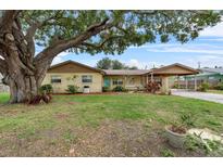 Charming single-story home with a well-maintained lawn, mature tree and covered entry at 320 Boger S Blvd, Lakeland, FL 33803