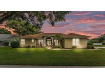 Charming home boasts a manicured lawn, complemented by a beige facade and a walkway to the welcoming front door at 3717 Tigereye Ct, Mulberry, FL 33860