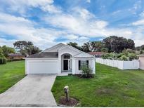 Charming single-story home features a well-manicured lawn and a two-car garage at 5424 Moon Valley Dr, Lakeland, FL 33812