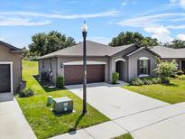 Charming single-Gathering home featuring a well-maintained lawn, neutral exterior, and a two-car garage at 8720 Micmac Ct, Polk City, FL 33868