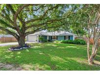Charming single-story home with a lush green lawn and a large, mature shade tree in the front yard at 4125 Sunny View Dr, Lakeland, FL 33813