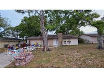 Modest single-story home with a lawn and large trees at 4202 Sunny View Dr, Lakeland, FL 33813