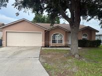 Charming single-story home features an attached two-car garage and welcoming front yard with mature tree at 6616 Shepherd Oaks St, Lakeland, FL 33811