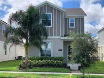 Two-story house with gray siding, landscaping, and a palm tree at 17112 Salty Dog Rd, Winter Garden, FL 34787