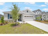 Charming single-story home boasts a manicured lawn and neutral colors at 192 Flag Lilly Ln, Umatilla, FL 32784