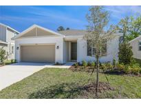 Charming single-story home featuring a two-car garage and fresh landscaping in a well maintained front yard at 1655 Sugarbelle Cir, Mascotte, FL 34753