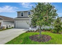 Two story home featuring a two car garage and a front lawn with freshly planted tree at 1769 Carnelian St, Deland, FL 32720