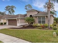 Tan one-story house with brown garage door, landscaping, and palm trees at 296 Del Sol Ave, Davenport, FL 33837
