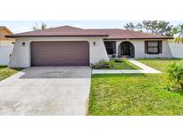 Single-story home with attached garage and landscaped yard at 667 Heraldo Ct, Kissimmee, FL 34758