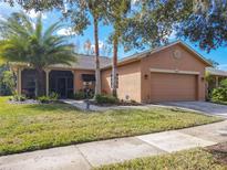 Tan house with screened porch, palm trees, and a two-car garage at 327 Davinci Pass, Kissimmee, FL 34759