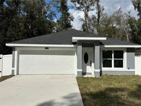 Charming single-story home featuring a two-car garage and manicured lawn at 3839 Se 132Nd Pl, Belleview, FL 34420